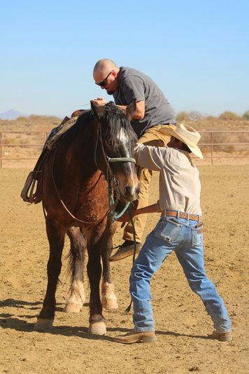 Guided 60 Minute Group Horseback Ride with Expert Wranglers - Image 4