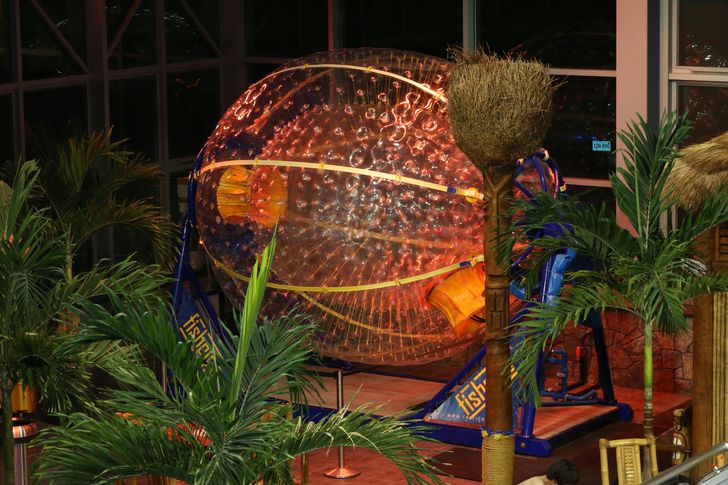 Fishpipe Water Ride - Image 5