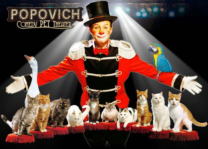 VIP Ticket to Comedy Pet Theater Show