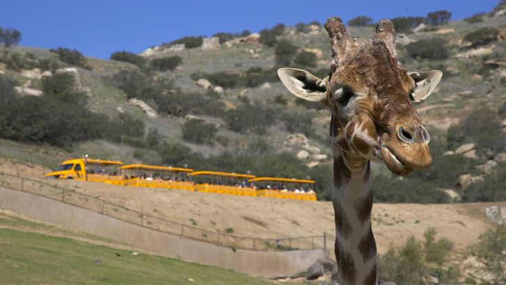 Go City San Diego All-Inclusive Pass Plus - 2 Days - Image 4