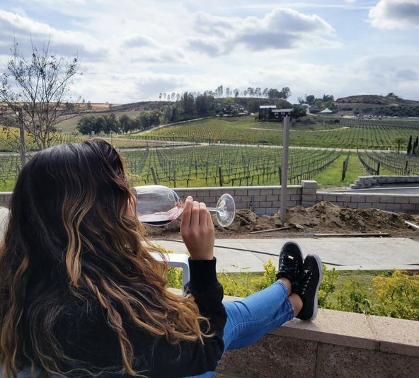 Temecula Valley Wine Tour - Image 3
