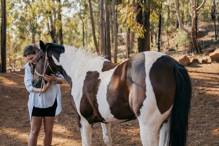 Oahu Sunshine Horseback Riding Tour - Image 2