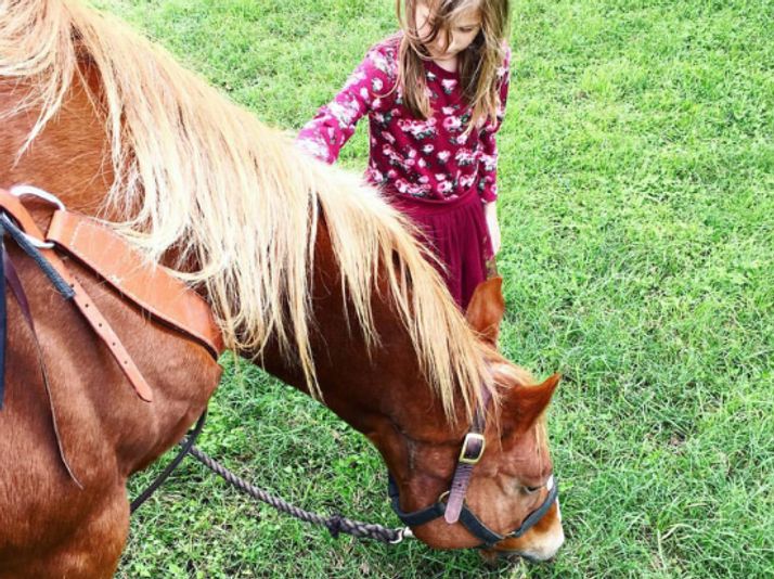 Kids Horseback Riding Lesson & Trail Ride - Image 3