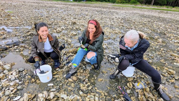 Oyster & Clam ShinDIG - Image 1