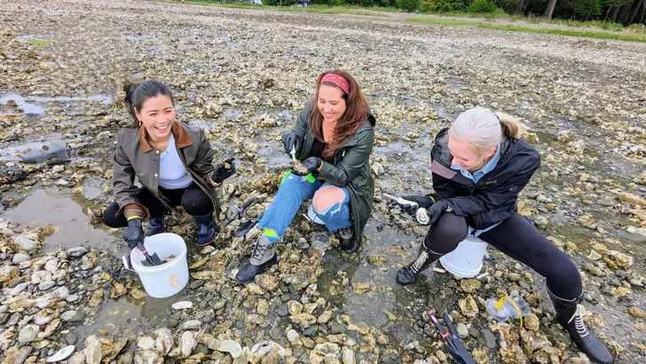 Oyster & Clam ShinDIG