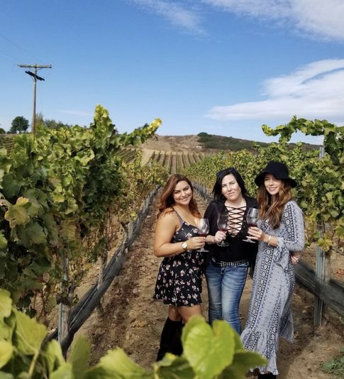 Chauffeured Vineyard Adventure of San Diego - Image 4