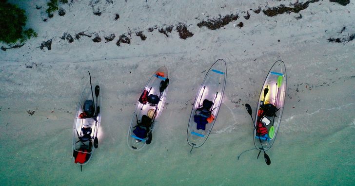 Shell Key Preserve Clear Kayak Glow Tour - Image 10