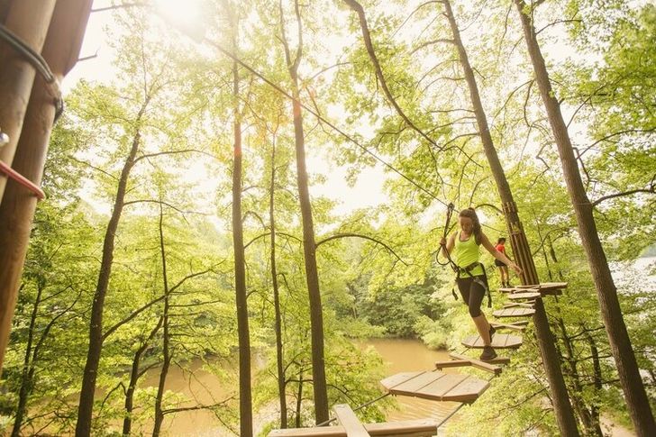 Chicago Zipline & Treetop Adventure with Go Ape