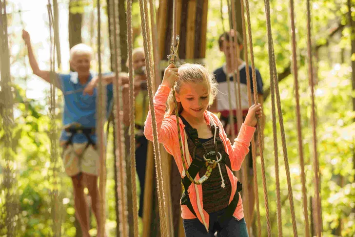 Kansas City Kids Treetop Journey with Go Ape