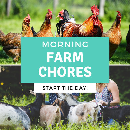Animal Husbandry - Morning Session