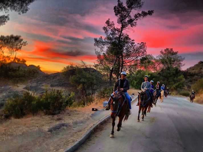 Evening Hollywood Horseback Riding Tour For 2 - Image 2