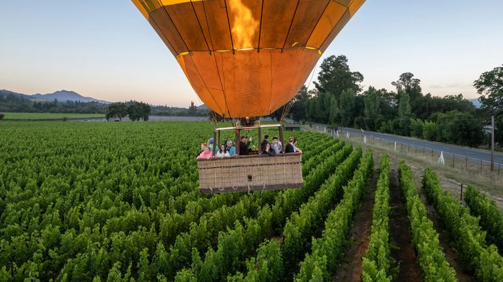 Napa Valley Hot Air Balloon Ride - Image 3