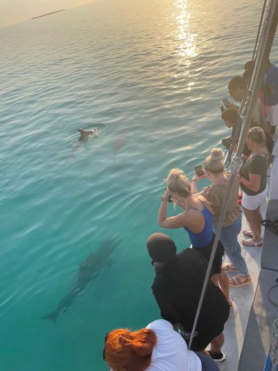 Key West Dolphin Watch Sunset Sail with Wine & Tapas - Image 2