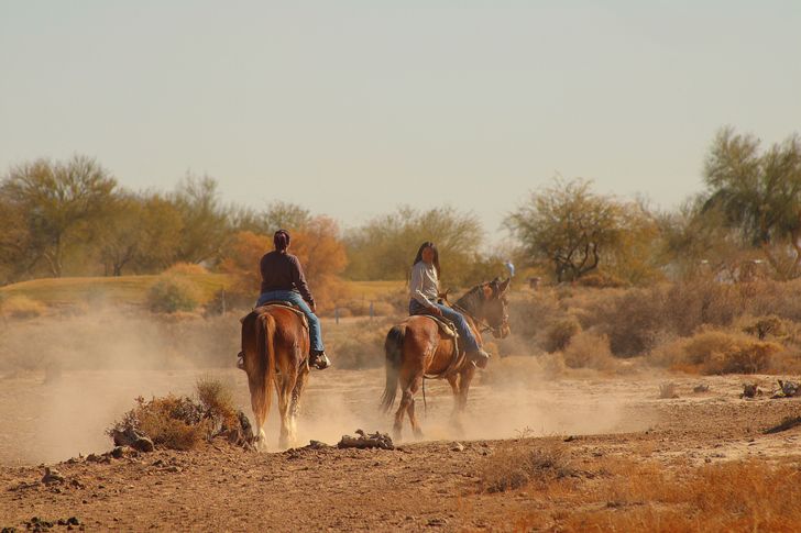 Guided 60 Minute Group Horseback Ride with Expert Wranglers - Image 2