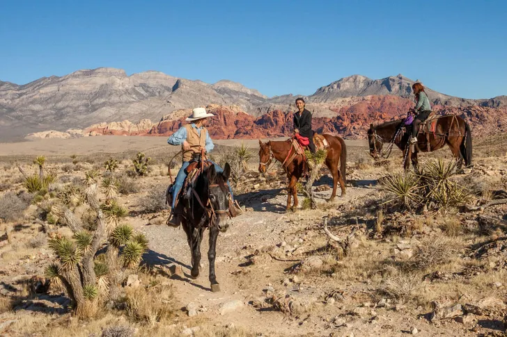 Guided Canyon Horseback Trail Ride