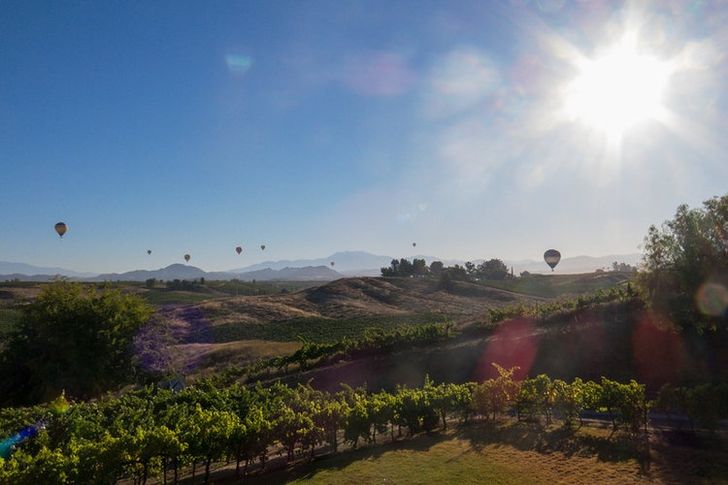 Temecula Sunrise Balloon Ride with Champagne Toast - Image 5