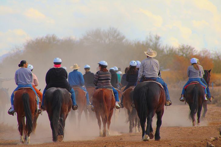 Serene Sunrise Horseback Ride - Image 2