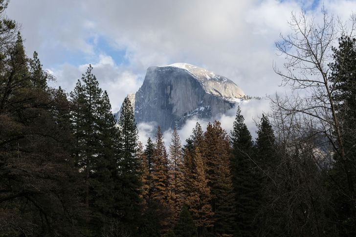 2-Day Semi-Guided Yosemite Tour with Curry Village Tent Cabin Stay - Image 5
