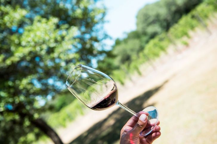 Hill Country BBQ and Wine Shuttle with BYOB - Image 4