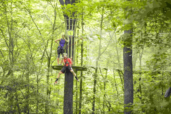 Indianapolis Zipline & Treetop Adventure with Go Ape