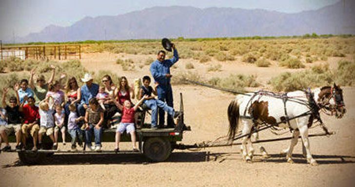 Hay Wagon Ride - Image 2