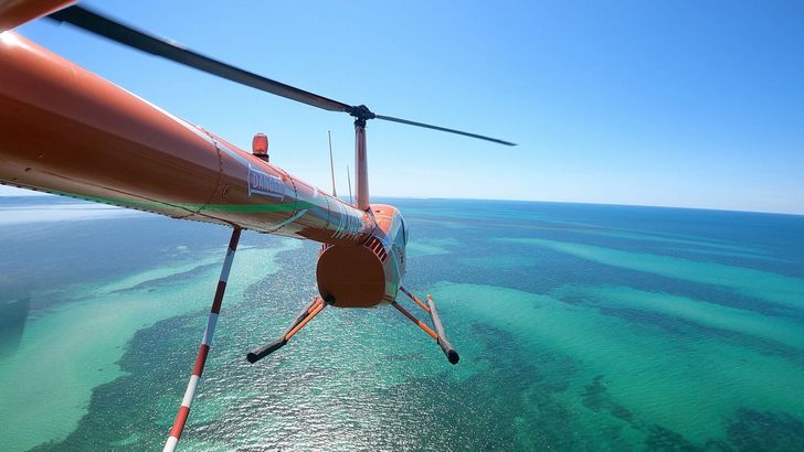 Key West Eco and Marine Life Helicopter Tour