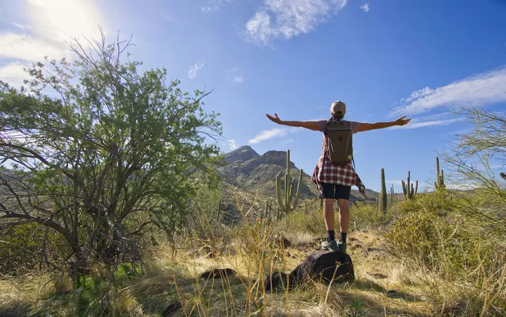 Incredible Hidden Valley Petroglyph Hiking Adventure in the Sonoran Desert