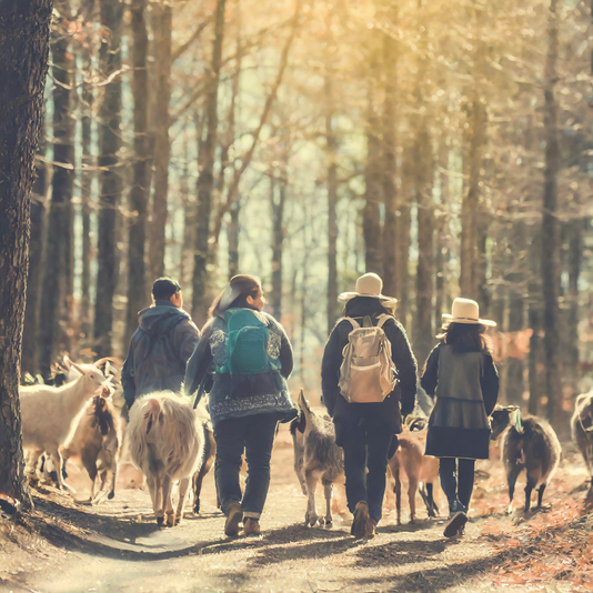 Private Baby Goat Cuddle and Hiking Experience