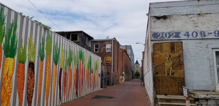 Historic Alleyways Walking Tour - Image 3