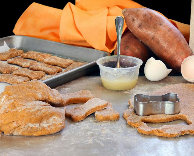 Cook for your Pup: Make Dog Meals and Treats in Washington DC