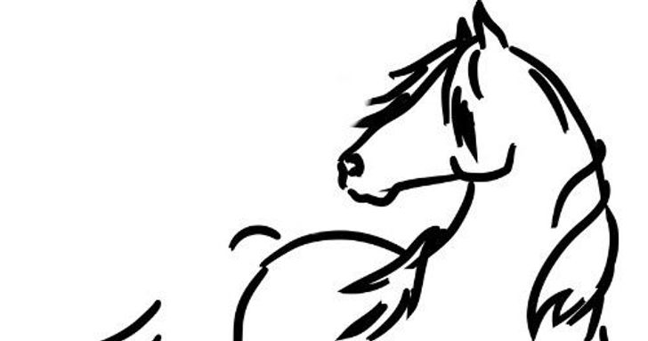 1 Hour Horse Ranch Visitor Pass - Image 1