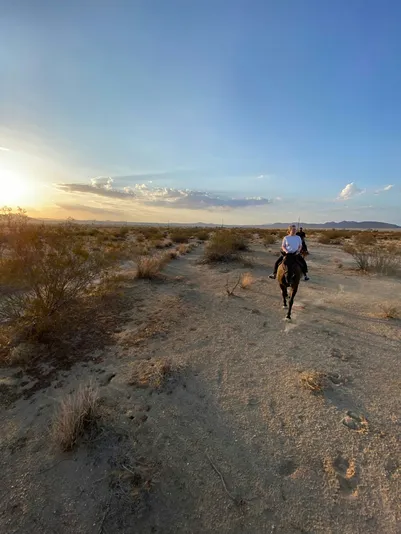 Joshua Tree Horseback Trail Ride