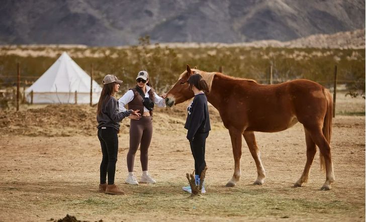 Kids Pony Ride in Joshua Tree - Image 4
