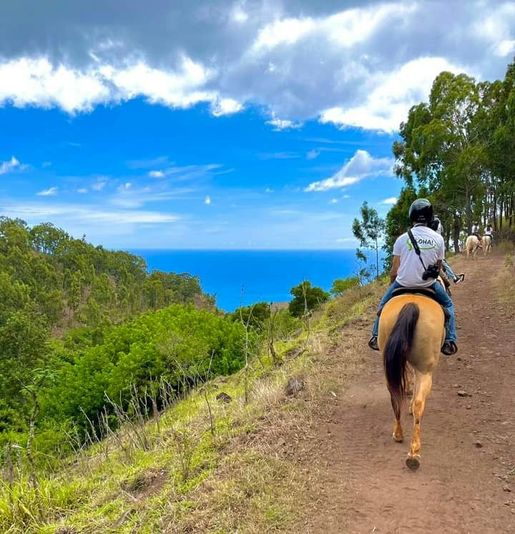Oahu Sunshine Horseback Riding Tour - Image 3