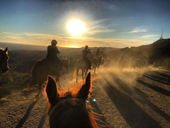 Romantic Horseback Riding Tour for 2 - Image 3