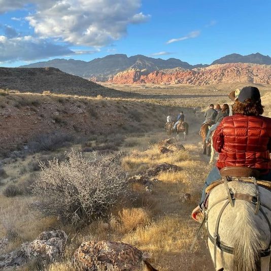Guided Canyon Horseback Trail Ride - Image 3
