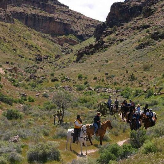 Guided Canyon Horseback Trail Ride - Image 4