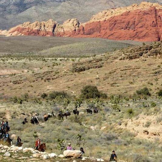 Guided Canyon Horseback Trail Ride - Image 7