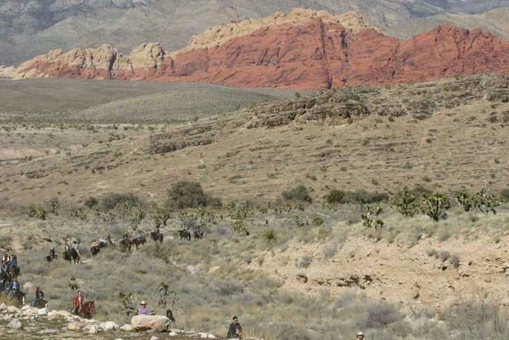 Guided Canyon Horseback Trail Ride - Image 6