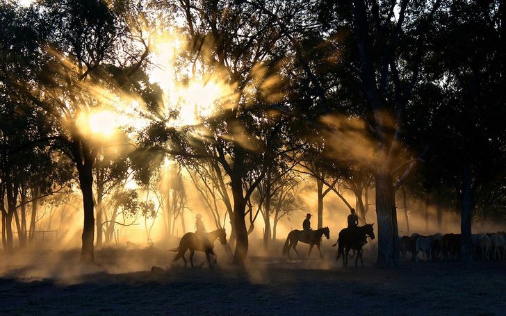 Sunset Horseback Trail Ride in Austin