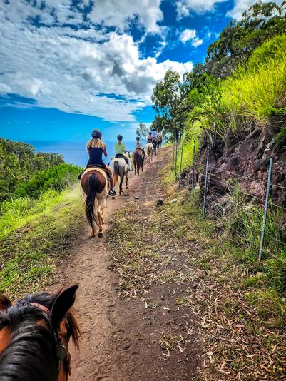 Oahu Sunshine Horseback Riding Tour - Image 5