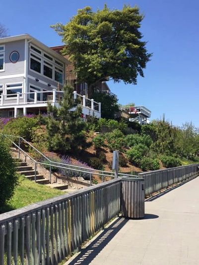 Chesapeake Beach Guided Walking Tour of The Cliffs - Image 6