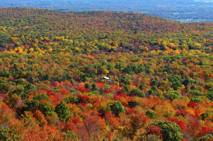 Shared Hudson Valley Fall Foliage Helicopter Tour from Westchester - Image 4