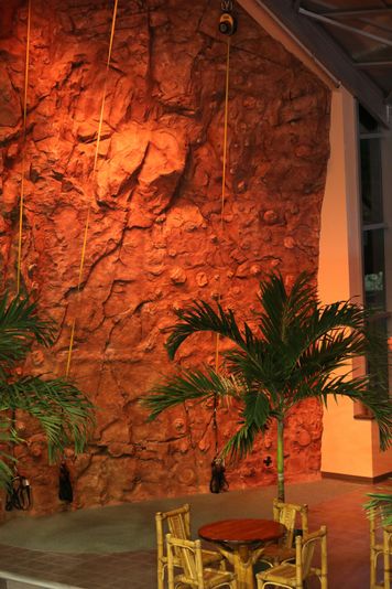 Boston Indoor Rock Climbing - Image 4