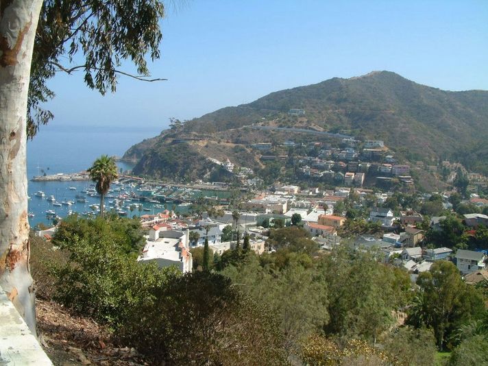 Catalina Eco-Land Adventure Safari Tram Tour - Image 2