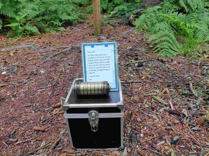 Delaware Forest Escape Game with Go Ape - Image 5