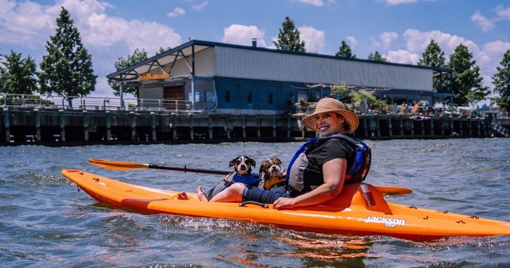 Kayak or Stand Up Paddle Board Rental by the Intrepid - Image 4