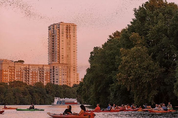 Guided Austin Sunset Bat Kayak Tour