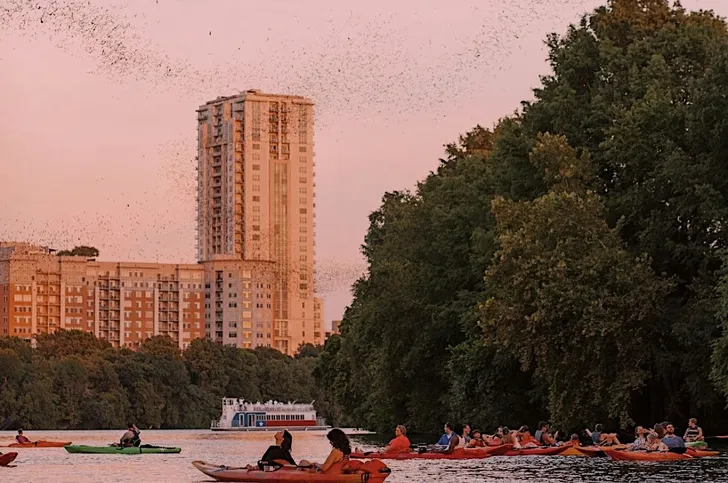 Guided Austin Sunset Bat Kayak Tour