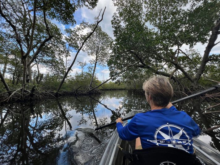 Miami Mangroves Clear Kayak Tour - Image 6